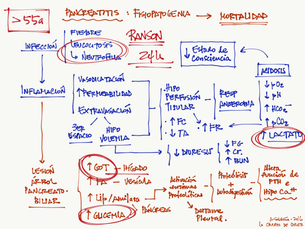 portable-network-graphics-image-96429aed63e6-1