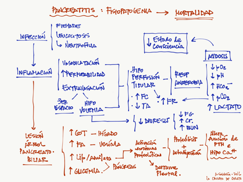 portable-network-graphics-image-e531b10efbeb-1