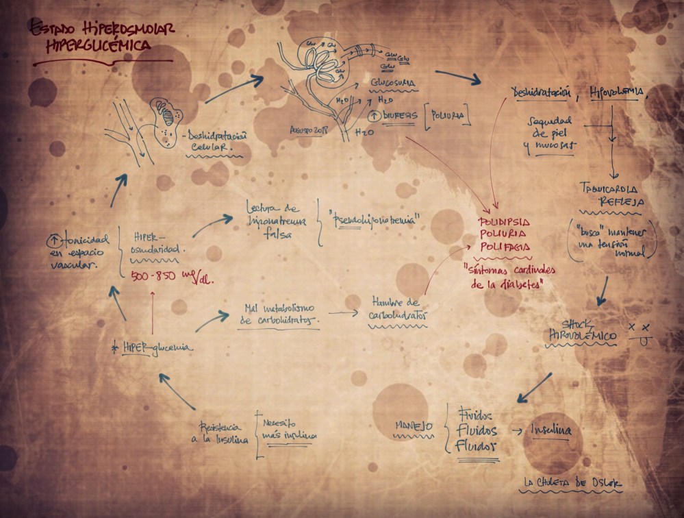 BDD1AB4D-5529-486C-A733-2FD732E50F00